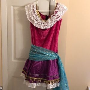 Adult Medium Gypsy/Fortune Teller Costume